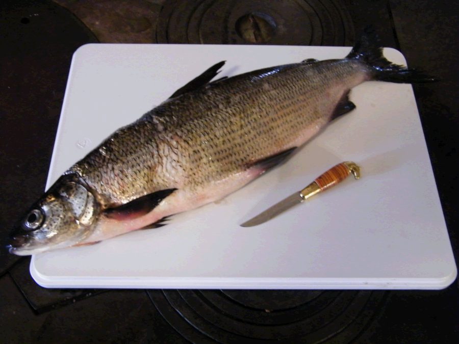 Whitefish on a cutting board with a puukko knife